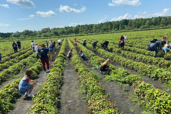 Продажа бизнеса по выращиванию и переработке ягодной, овощной и травяной продукции во Львовской области